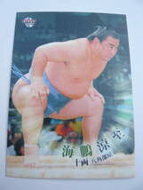 BBM　2010　大相撲カード　＃49海鵬涼至　トレカ_画像1