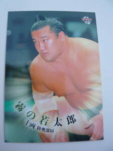 BBM　2010　大相撲カード　＃61霧の若太郎　トレカ