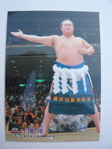 BBM　2010　大相撲カード　＃94白鵬翔　トレカ