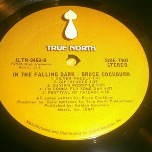 LP：BRUCE COCKBURN IN THE FALLING DARK ブルース・コバーン：US盤の画像3