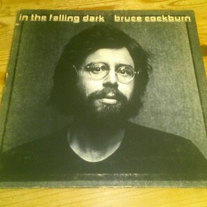 LP：BRUCE COCKBURN IN THE FALLING DARK ブルース・コバーン：US盤の画像1