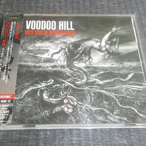 CD：VOODOO HILL ヴ―ドゥー・ヒル ワイルド・シード・オブ・マザー・アース グレン・ヒューズ Glenn Hughes：帯付の画像1