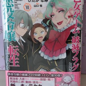 〈最新巻〉乙女ゲームの破滅フラグしかない悪役令嬢に転生してしまった　１０巻　 ひだかなみ