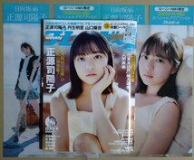 週刊プレイボーイ 2024年no.19 表紙:日向坂46 正源司陽子 ローソン・HMV限定 スペシャルクリアファイル 2枚.白濱美兎 DVD.特製シール 付き_画像1