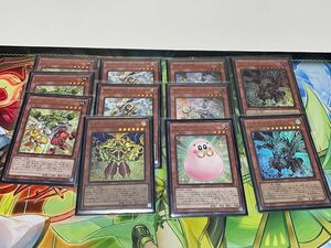 遊戯王　光の黄金櫃　構築済みデッキ