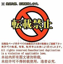 【仮装】アノニマス マスク/ガイ・フォークス マスク/国際ハッカー集団/秘密結社/仮装 お面 ハロウィン グッズ/パーティー/コスプレ/変装/_画像8