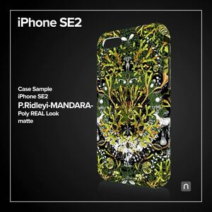 ビカクシダ リドレイiPhone SE2 SE3【MANDARA】