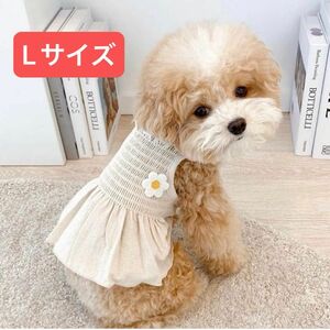 犬服 ワンピース スカート ベージュ　お花　ペット服 かわいい ドレス お嬢様 洋服 ドッグウェア Tシャツ 春夏用 通気性