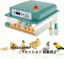 自動孵卵器インキュベーター 恒温器 鳥類専用ふ卵器 孵化器 自動転卵式 アヒル 鶏卵 アヒル うずら 恒温孵化器全自動 6-16個の卵_画像1