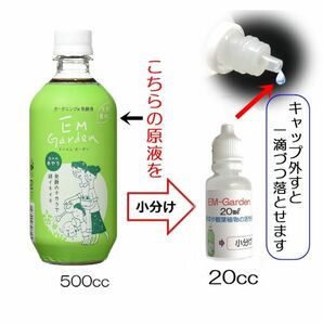 EM Garden 植物の活性化に