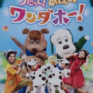 中古DVD　NHKDVD いないいないばあっ！あつまれ！ワンワンわんだーらんど うたって！あそんで！ワンダホー！