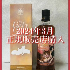 【1円〜♪ 是非GWに！】ラッキーキャット ハナ＆チョコ 700ml 。他出品あります！同梱発送（まとめて取引き） で送料割安♪の画像1