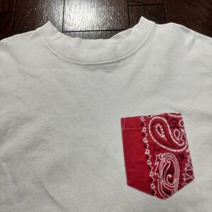 GOOD WEAR Tシャツ　ポケT　S　ペイズリー　