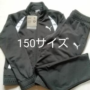 プーマ ジャージ 上下セット 150サイズ 新品 未使用