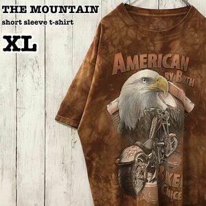 THE MOUNTAIN US アメリカ古着 タカ ワシ バイク 大判プリント タイダイ半袖Tシャツ XL