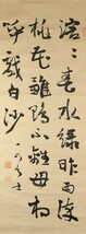 5386■【真作】巌谷一六 書 書家 楊守敬 日下部鳴鶴 中国 掛軸_画像3