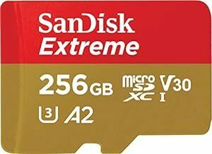 マイクロSDカード microSD 256GB SanDisk サンディスク UHS-3 Class10 Nintendo Swi