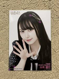 NMB48【山本望叶 A】 月別 ランダム生写真 2024年2月 February vol.1　1枚