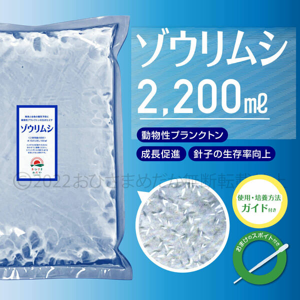 特濃縮【ゾウリムシ　種水　増量　2200ml】めだか　メダカ　針子　エサ 稚魚　psb　 金魚　ミジンコ　クロレラ　ミドリムシ スポイト付き