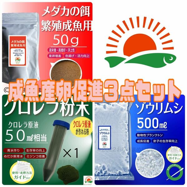 大好評 【メダカ成魚産卵促進３点セット(餌50gクロレラ粉末50mlゾウリムシ500ml)】ミドリムシめだか卵金魚 ミジンコpsbに