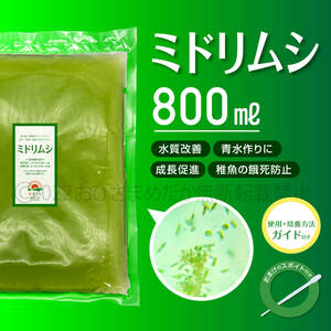 特濃縮【ミドリムシ　種水　増量　800ml】めだか　メダカ　針子　エサ 稚魚　psb　 金魚　ミジンコ　クロレラ　ゾウリムシ スポイト付き