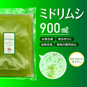 【ミドリムシ　種水　増量　900ml】めだか　メダカ　針子　エサ 稚魚　psb　 金魚　ミジンコ　クロレラ　ゾウリムシ 培養におすすめ