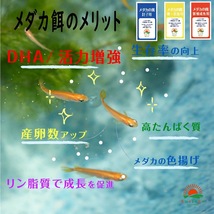 高飼料エサ 【メダカの餌 (稚魚～若魚用)】100g めだかエサ ミジンコ　メダカエサ　ゾウリムシ　PSB　おとひめ　ライズの利用者にどうぞ_画像4