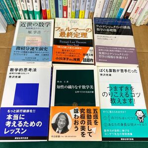 □/古本/文庫/フィールズ賞で見る現代数学/博士の愛した数式/異端の数ゼロ/父の威厳数学者の意地/空間と時間の数学/SF 157-77の画像7