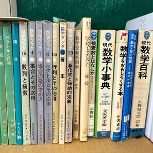 □/古本/数学、物理/オイラー/方程式/不等式/歴史の中の数学/ベクトルとその応用/量子力学/Wittgenstein/157-80の画像6