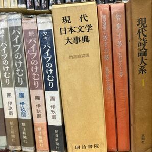 □/古本/現代詩文庫1001〜1014巻/新選現代詩文庫101〜108巻/中国の名詩3〜9巻/パイプのけむり/現代詩論大系1〜6巻/164-26の画像4