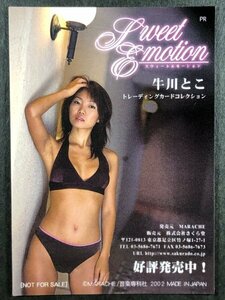 牛川とこ　さくら堂　PR　プロモーションカード　非売品　レースクイーン グラビア アイドル トレカ トレーディングカード　
