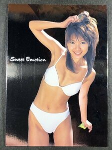 牛川とこ　さくら堂 2003　SP－A4　スペシャルミラーカード　レースクイーン グラビア アイドル トレカ トレーディングカード　