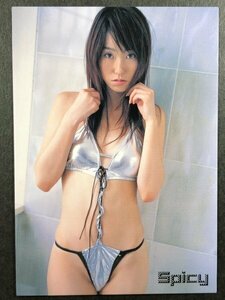 細部 葉　さくら堂 2005 spicy　30　レースクイーン　水着 グラビア アイドル トレカ トレーディングカード　