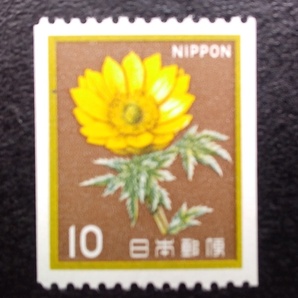 未使用1982年花・貝・文化財コイル福寿草10円切手の画像1