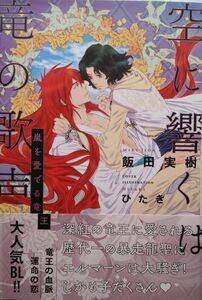 『空に響くは竜の歌声　　嵐を愛でる竜王』　　 飯田実樹 /リブレ