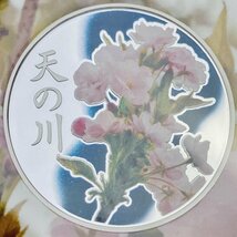 1円~ 桜の通り抜け 2013 プルーフ貨幣セット 天の川 銀約20g 桜花 記念硬貨 記念貨幣 コイン 貴金属 銀メダル PS2013_画像3