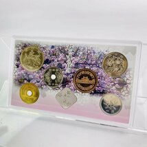 1円~ 桜の通り抜け貨幣セット 今年の花 牡丹 ミントセット 2016年 平成28年 額面666円 銀約4.39g 記念硬貨 銀メダル 日本桜花 MS2016_画像4