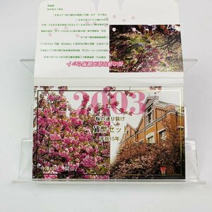 桜の通り抜け貨幣セット 今年の花 関山 ミントセット 2003年 平成15年 額面666円 銀約4.39g 記念硬貨 硬貨未使用 貴金属 日本桜花