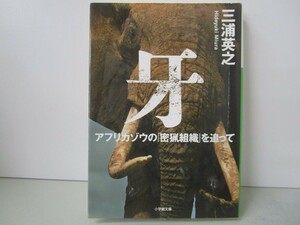 牙 アフリカゾウの「密猟組織」を追って (小学館文庫 み 21-1) k0603 B-7