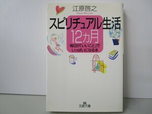 スピリチュアル生活12カ月: 毎日が「いいこと」でいっぱいになる本 (王様文庫 D 8-2) k0603 B-8