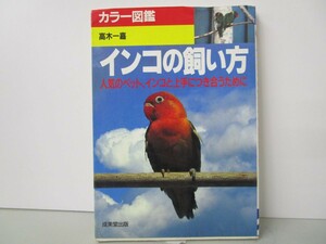 カラー図鑑インコの飼い方: 人気のペット、インコと上手につき合うために k0603 B-14