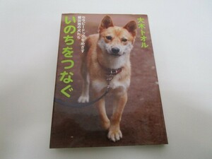 いのちをつなぐ セラピードッグをめざす被災地の犬たち (ノンフィクション・生きるチカラ 13) k0603 B-3