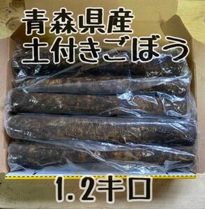 青森県産！土付きごぼう　1.2キロ