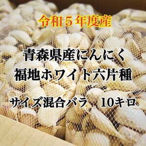 令和5年度青森県産にんにくバラ サイズ混合10kg