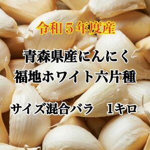 令和5年度産!!青森県産 にんにく 福地ホワイト六片 サイズ混合バラ 1ｋｇ