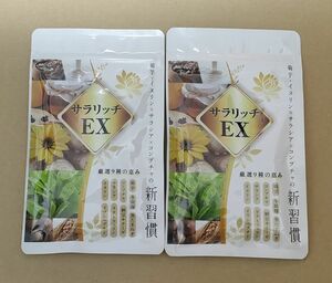 サラリッチEX 2袋 約2ヶ月分 食物繊維 菊芋 イヌリン ナットウキナーゼ サラシア ラクトフェリン コンブチャ サプリメント