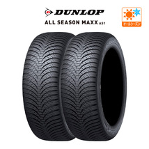 ダンロップ ALL SEASON MAXX AS1 225/65R17 106H XL オールシーズンタイヤのみ・送料無料(2本)_画像1