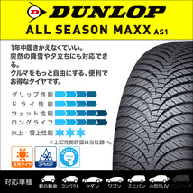 ダンロップ ALL SEASON MAXX AS1 175/65R15 84H オールシーズンタイヤのみ・送料無料(4本)_画像2