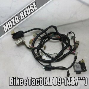 □【Tact S タクトS AF09】純正メインハーネス+電装SET　CDI/レギュレター/IGコイル「GK8 CF488」□K37682