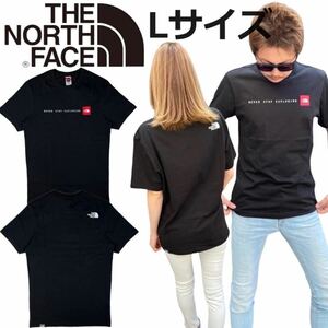 ザ ノースフェイス 半袖 Tシャツ NF0A2TX4 カットソー ミニボックスロゴ ブラック Lサイズ ユニセックス THE NORTH FACE S/S NSE TEE 新品